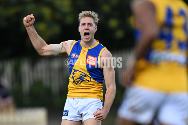 AFL 2024 Round 22 - North Melbourne v West Coast - A-52646447