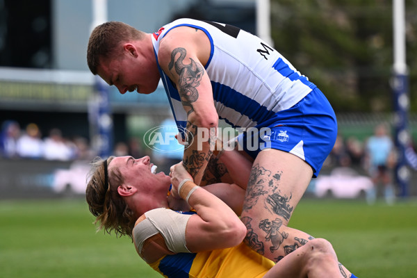 AFL 2024 Round 22 - North Melbourne v West Coast - A-52646965