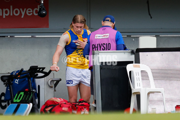 AFL 2024 Round 22 - North Melbourne v West Coast - A-52646972
