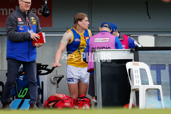 AFL 2024 Round 22 - North Melbourne v West Coast - A-52646974