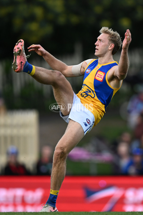 AFL 2024 Round 22 - North Melbourne v West Coast - A-52647003