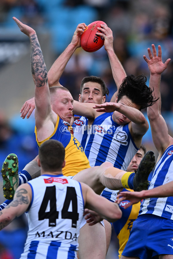 AFL 2024 Round 22 - North Melbourne v West Coast - A-52647029