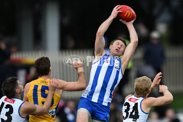 AFL 2024 Round 22 - North Melbourne v West Coast - A-52648790