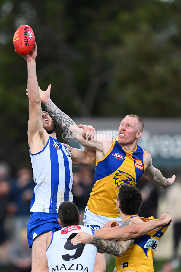 AFL 2024 Round 22 - North Melbourne v West Coast - A-52648832