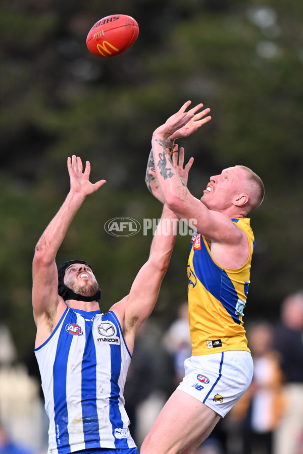 AFL 2024 Round 22 - North Melbourne v West Coast - A-52648846