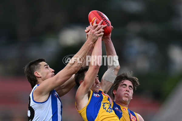 AFL 2024 Round 22 - North Melbourne v West Coast - A-52648871