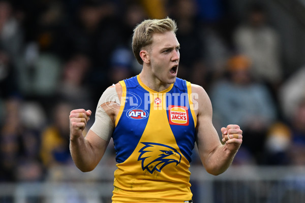 AFL 2024 Round 22 - North Melbourne v West Coast - A-52648875