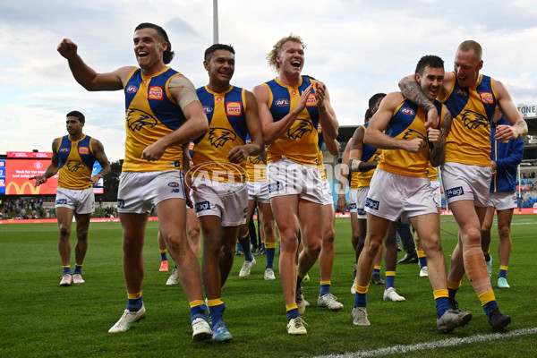 AFL 2024 Round 22 - North Melbourne v West Coast - A-52649948