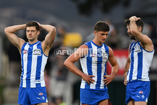AFL 2024 Round 22 - North Melbourne v West Coast - A-52651129