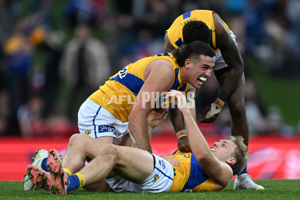 AFL 2024 Round 22 - North Melbourne v West Coast - A-52651186