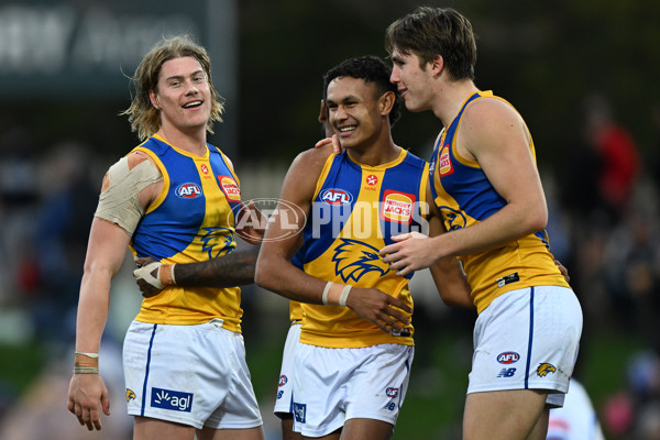 AFL 2024 Round 22 - North Melbourne v West Coast - A-52652831