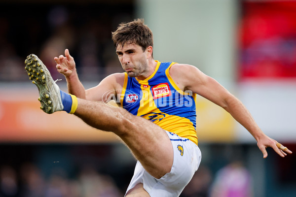 AFL 2024 Round 22 - North Melbourne v West Coast - A-52652868