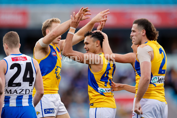 AFL 2024 Round 22 - North Melbourne v West Coast - A-52652904