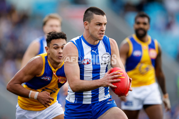 AFL 2024 Round 22 - North Melbourne v West Coast - A-52652908