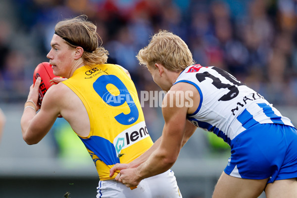 AFL 2024 Round 22 - North Melbourne v West Coast - A-52652910