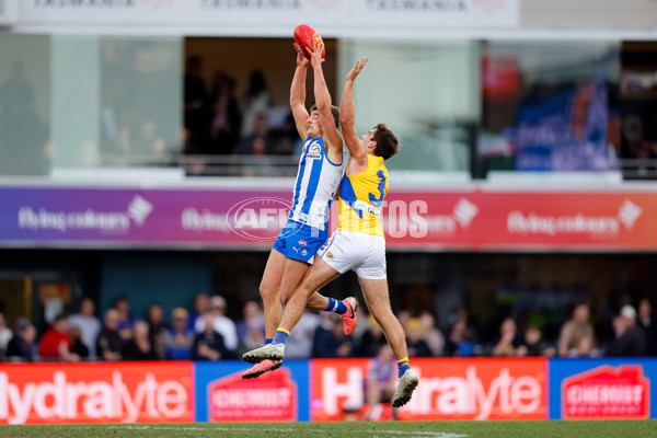 AFL 2024 Round 22 - North Melbourne v West Coast - A-52652914