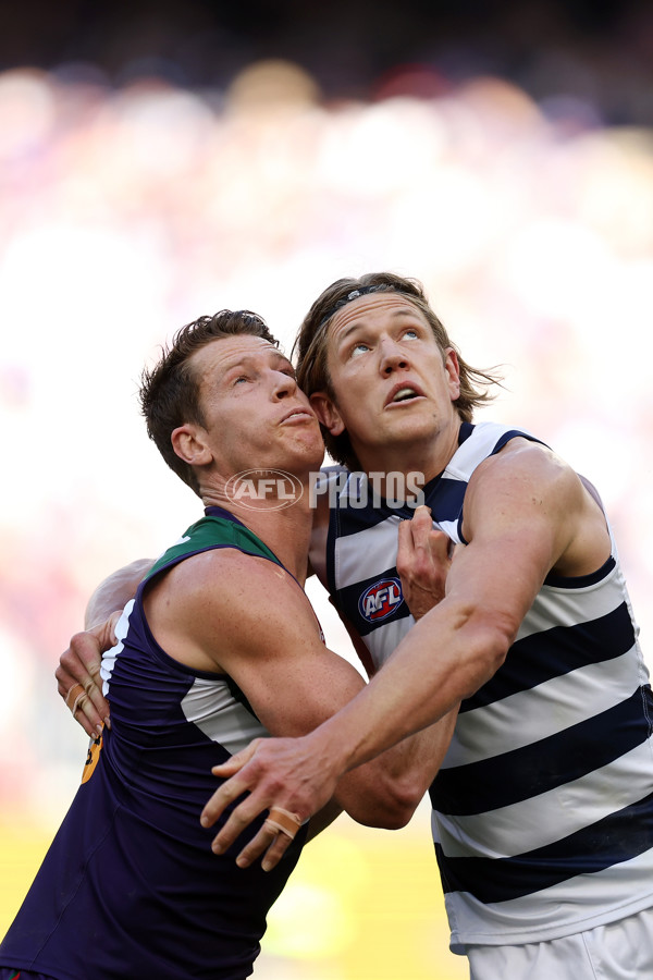 AFL 2024 Round 22 - Fremantle v Geelong - A-52653029