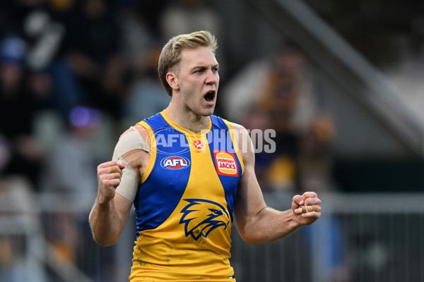 AFL 2024 Round 22 - North Melbourne v West Coast - A-52653067