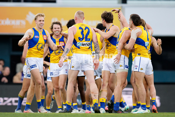 AFL 2024 Round 22 - North Melbourne v West Coast - A-52653079