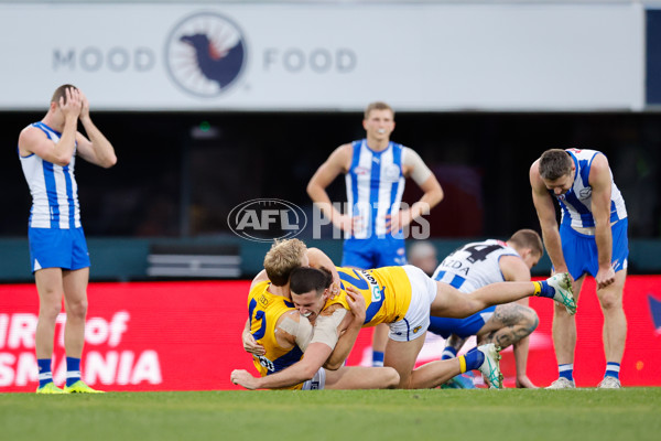AFL 2024 Round 22 - North Melbourne v West Coast - A-52653080