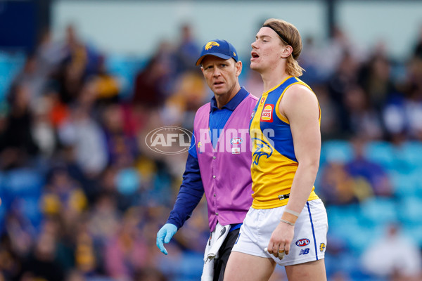 AFL 2024 Round 22 - North Melbourne v West Coast - A-52655250