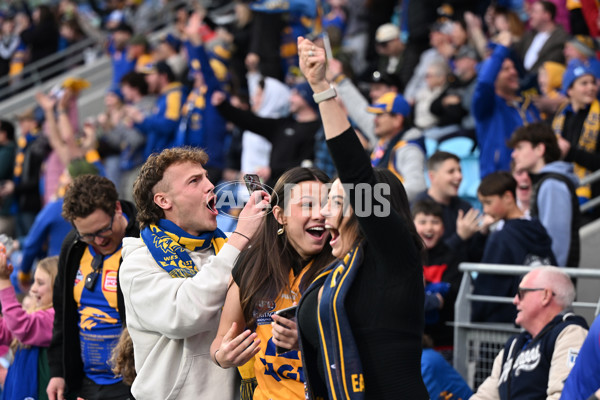 AFL 2024 Round 22 - North Melbourne v West Coast - A-52655294