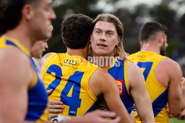 AFL 2024 Round 22 - North Melbourne v West Coast - A-52655316