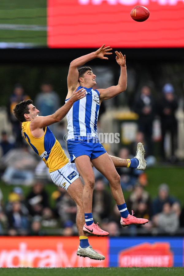 AFL 2024 Round 22 - North Melbourne v West Coast - A-52655327