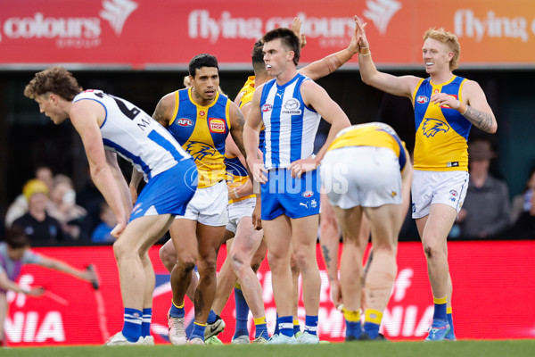 AFL 2024 Round 22 - North Melbourne v West Coast - A-52655330