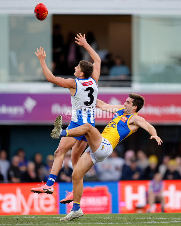 AFL 2024 Round 22 - North Melbourne v West Coast - A-52655441