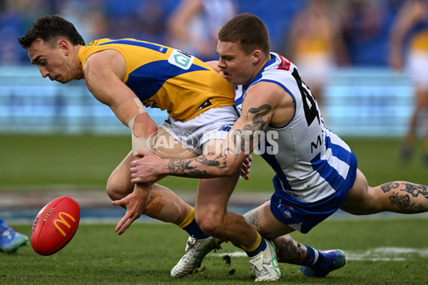 AFL 2024 Round 22 - North Melbourne v West Coast - A-52655501