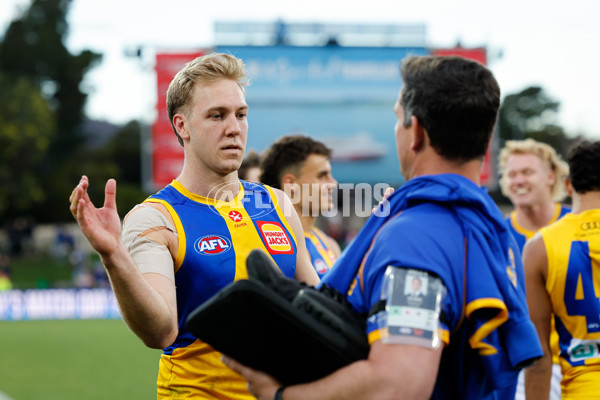 AFL 2024 Round 22 - North Melbourne v West Coast - A-52655503