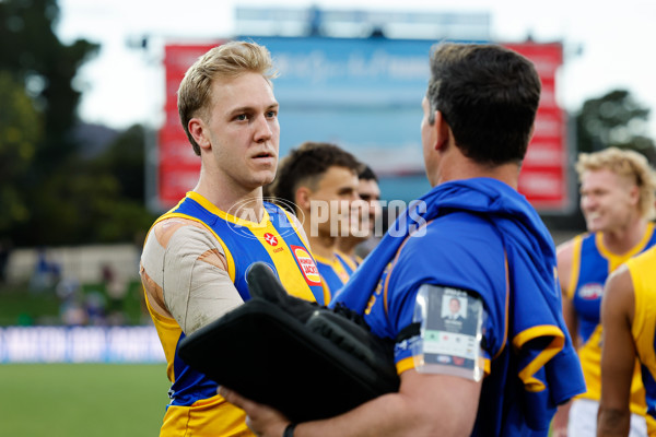 AFL 2024 Round 22 - North Melbourne v West Coast - A-52655505