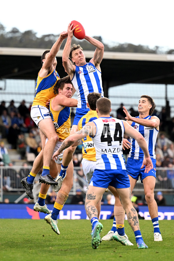 AFL 2024 Round 22 - North Melbourne v West Coast - A-52660236