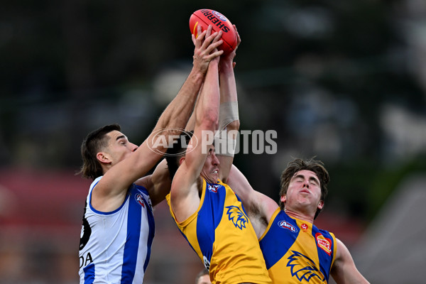 AFL 2024 Round 22 - North Melbourne v West Coast - A-52660237