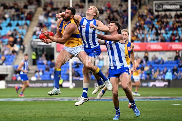 AFL 2024 Round 22 - North Melbourne v West Coast - A-52661211
