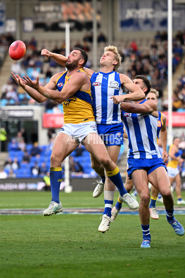 AFL 2024 Round 22 - North Melbourne v West Coast - A-52661213