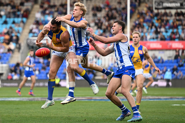 AFL 2024 Round 22 - North Melbourne v West Coast - A-52661214