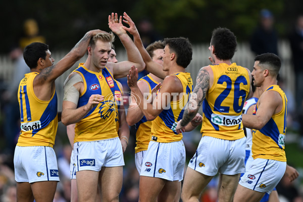 AFL 2024 Round 22 - North Melbourne v West Coast - A-52661243