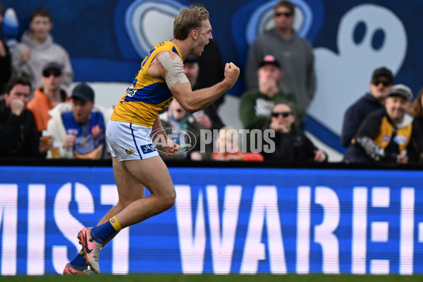 AFL 2024 Round 22 - North Melbourne v West Coast - A-52661248