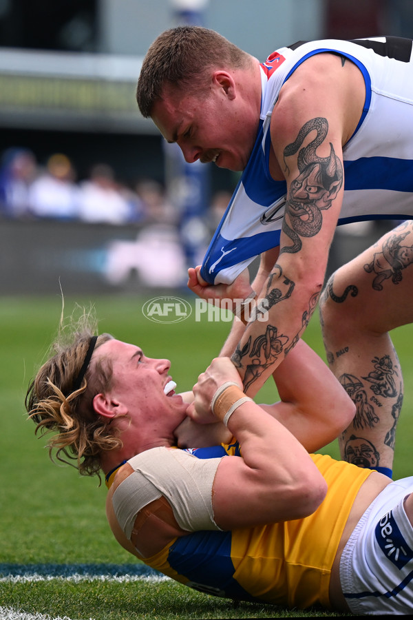 AFL 2024 Round 22 - North Melbourne v West Coast - A-52661273