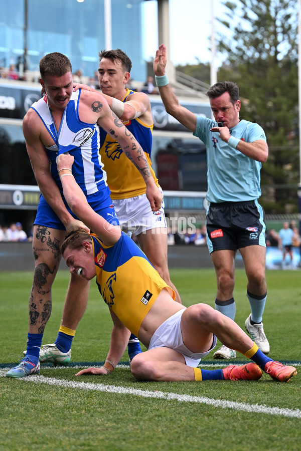 AFL 2024 Round 22 - North Melbourne v West Coast - A-52662624
