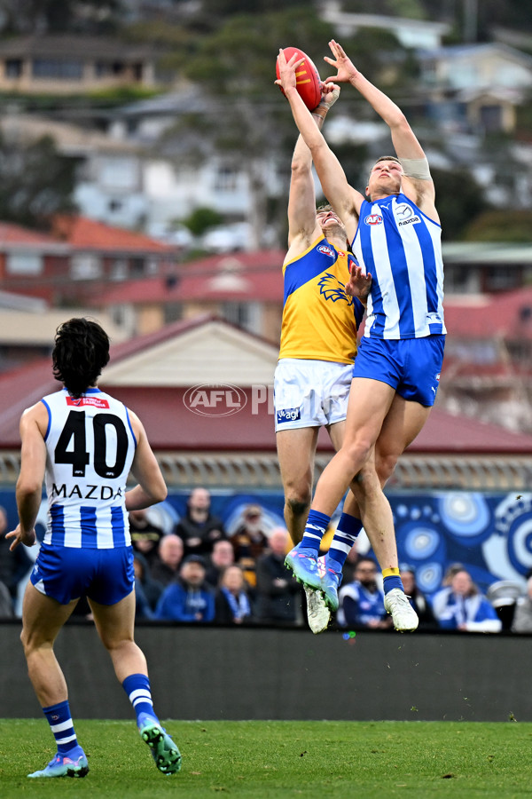 AFL 2024 Round 22 - North Melbourne v West Coast - A-52662637