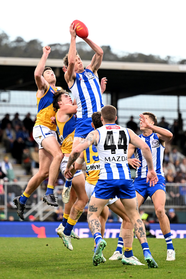 AFL 2024 Round 22 - North Melbourne v West Coast - A-52662639