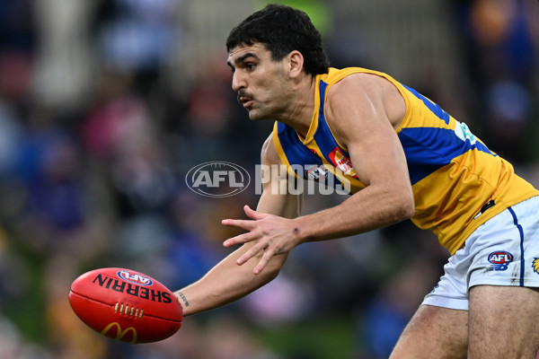 AFL 2024 Round 22 - North Melbourne v West Coast - A-52662640