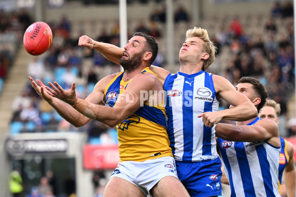 AFL 2024 Round 22 - North Melbourne v West Coast - A-52662656