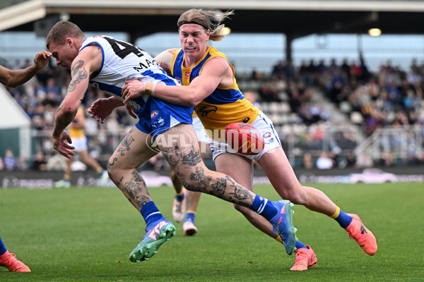 AFL 2024 Round 22 - North Melbourne v West Coast - A-52662689