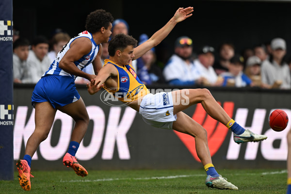 AFL 2024 Round 22 - North Melbourne v West Coast - A-52663731