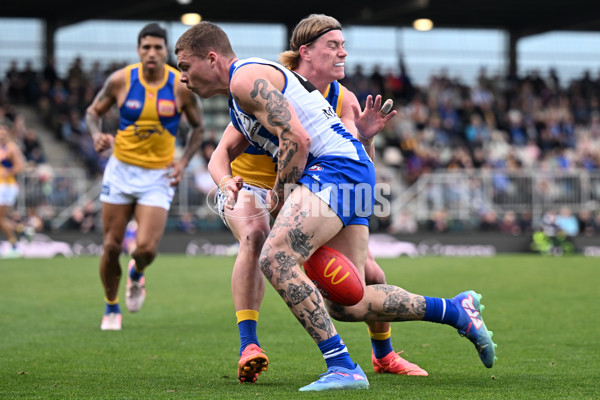 AFL 2024 Round 22 - North Melbourne v West Coast - A-52663761