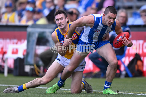 AFL 2024 Round 22 - North Melbourne v West Coast - A-52663779